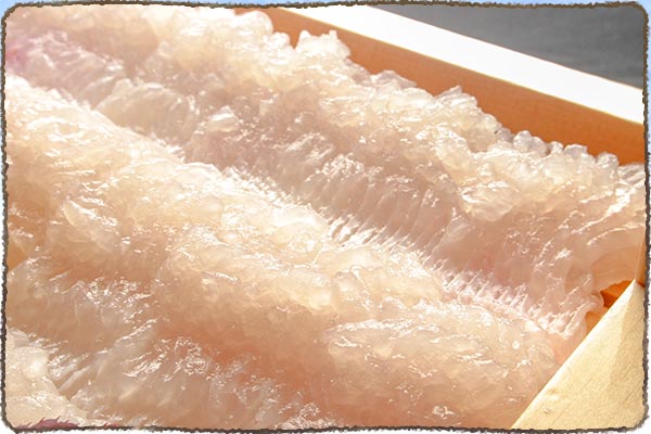 骨切りしたハモの身