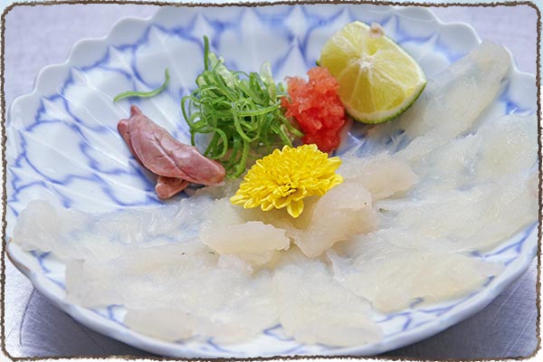 オコゼのお造り